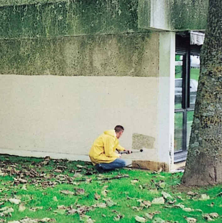 Consilex Muffa Remover