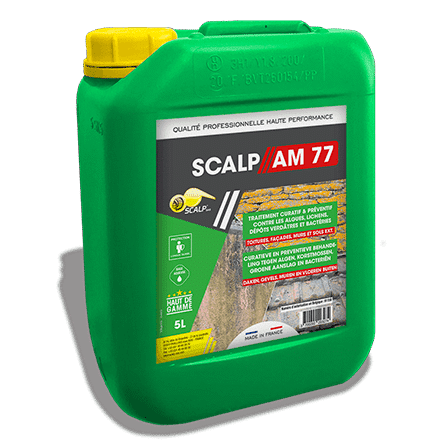 Scalp Anti-Mousse 77