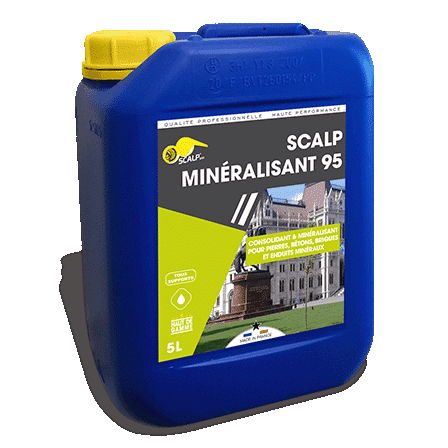 Scalp Mineralisant 95