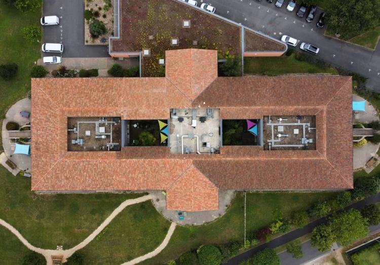 Scalp Renov' Express