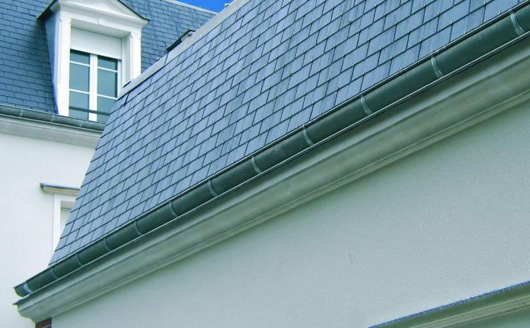 Scalpfuge Anti-Mousse