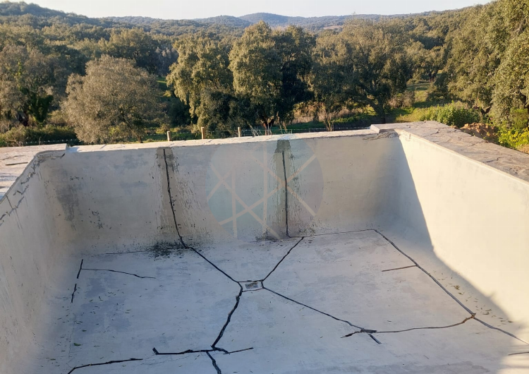 Swimming Pool Repair